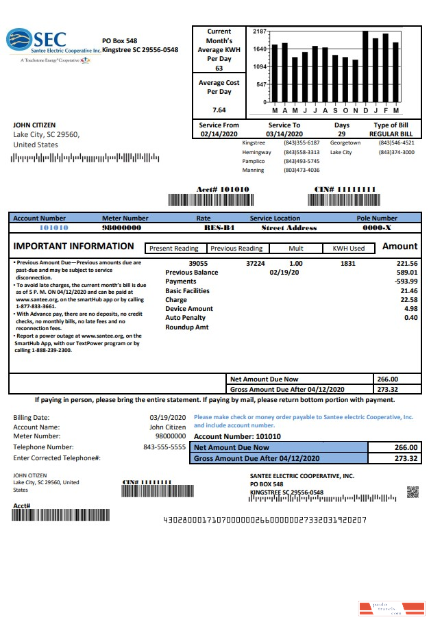 USA South Carolina Santee Electric Cooperative (SEC) proof of address utility bill template in Word and PDF format